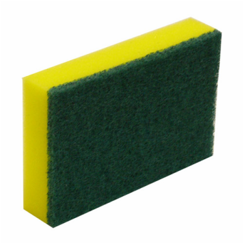 Green & Gold Sponge Scourer