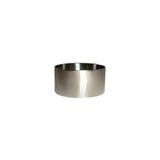 Metallic ring on a white background