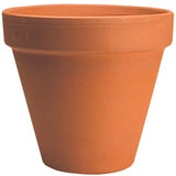 Terracotta pot on a white background