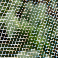 Netting Anti Bird Backyard Farmer 2.5 x 2.5m x 5mm Net Plastic UV Resistant 20112270