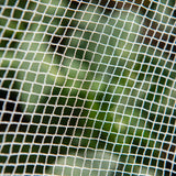 Netting Anti Bird Backyard Farmer 2.5 x 2.5m x 5mm Net Plastic UV Resistant 20112270