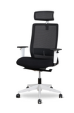 Ergonomic Office Desk Chair for Creative Professionals CHAIR-SILVER
