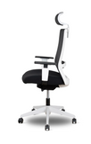 Ergonomic Office Desk Chair for Creative Professionals CHAIR-SILVER