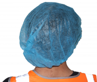 Blue hair net cover protective wear