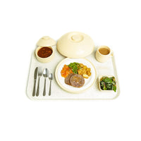 Fibreglass Healthcare Food Tray White Speckled 560 x 405mm KH