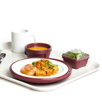 Fibreglass Healthcare Food Tray White Speckled 405 x280mm KH