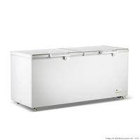 Thermaster 750L Chest Freezer with Stainless Steel Lid