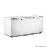 Thermaster 750L Chest Freezer with Stainless Steel Lid