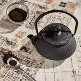 Cast Iron Tea Pot 500ml Black 12306