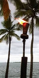 Stainless Steel Tiki Torch 16 x 30cm Model No: STK316