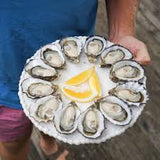 12 Cavities Oyster Tray Black 400pcs RPET OT12BK