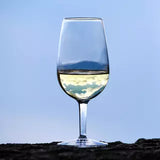 Doc Wine Taster Glass Luigi Bormioli 215ml (Iso) CC6602094