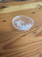 180ml Clear Cup with “Rolled Rim” Box 1000 Cups HEALTHCARE SAFETY CUP6CL