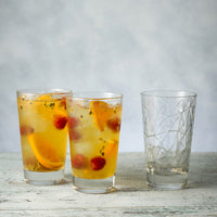 Old Fashioned Glass Tumbler Dolomiti Vidivi 220ml