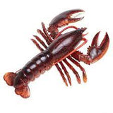 Lobster Pick Fork  Stainless Steel 20.5cm Pack 12