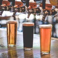 Oxford Beer Glass  425ml