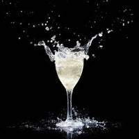Polysafe Wine Glass Vino Blanco With Pour Line PS-6 Unbreakable