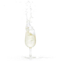 Polysafe Wine Glass Vino Blanco With Pour Line PS-6 Unbreakable