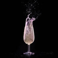 Polysafe Wine Glass Vino Blanco With Pour Line PS-6 Unbreakable