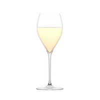 Plumm Everyday Sparkling Wine Champagne Flute 210 ml