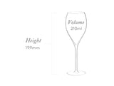 Plumm Everyday Sparkling Wine Champagne Flute 210 ml