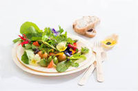 Bio Wood Snack Plates Wide Rim Round 19cm 475019