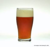 Tulip Pint Beer Drinking Glass 570ml Crown CC140179TN
